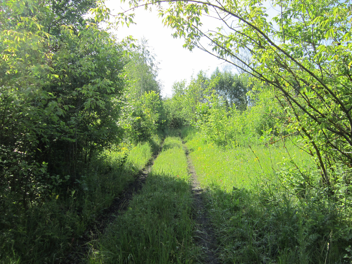 Фото автора.