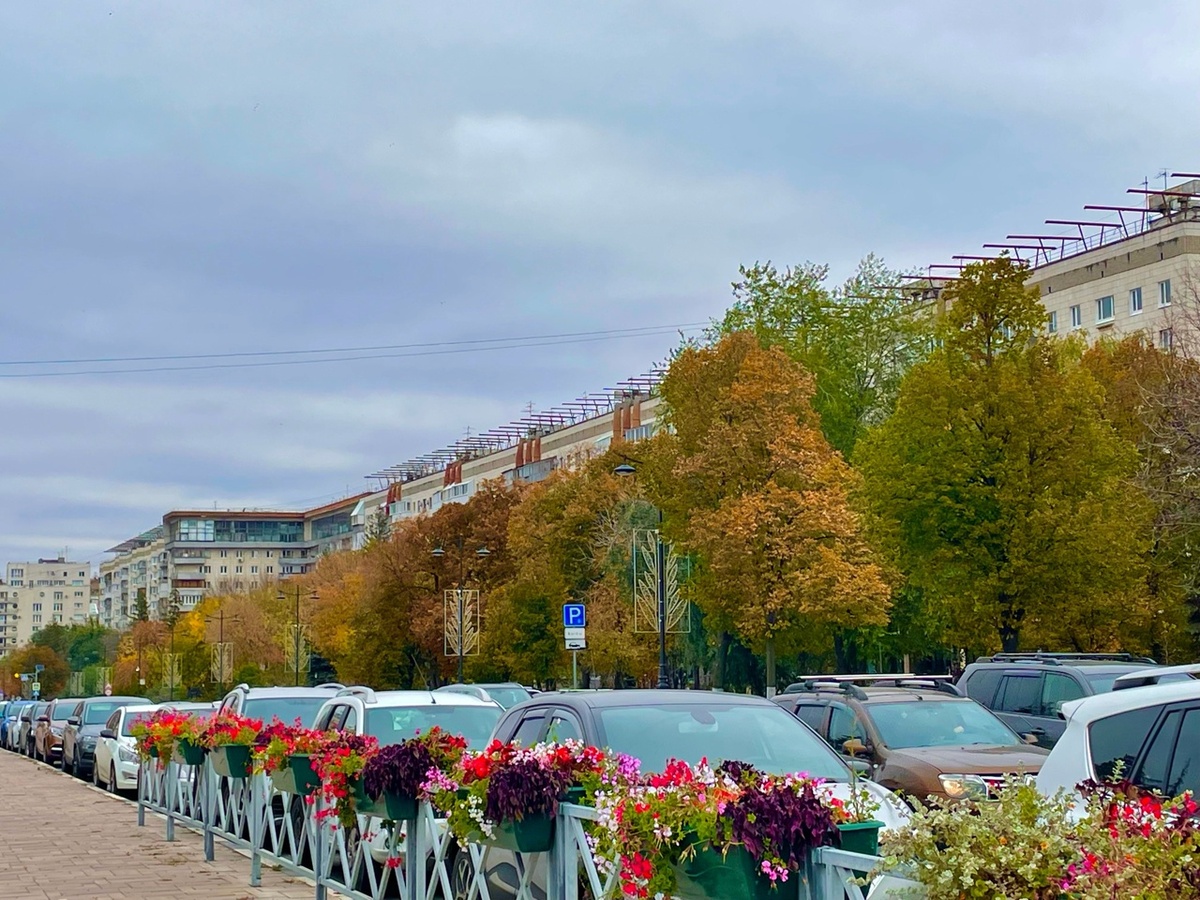    Фото: архив progorod