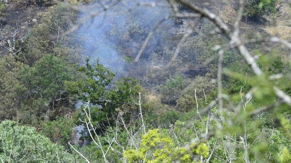    © РИА Новости Крым . Дмитрий Макеев