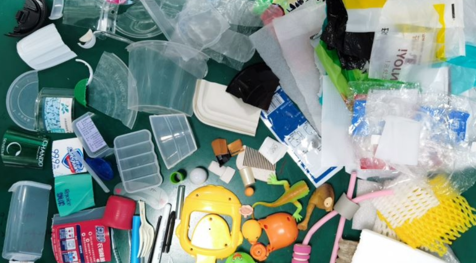   Mei-Qi Zhang et al. / Nature, 2025