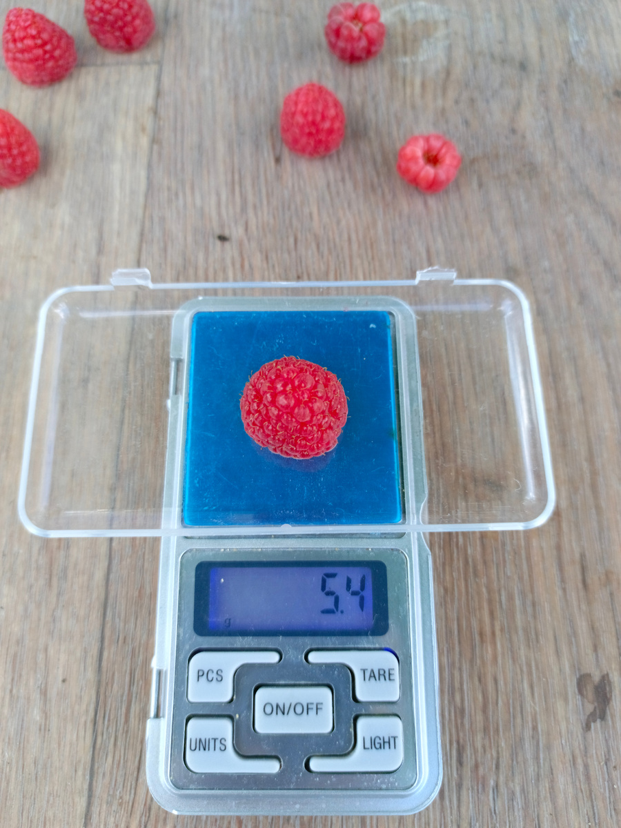 Самая крупнаякрупная.