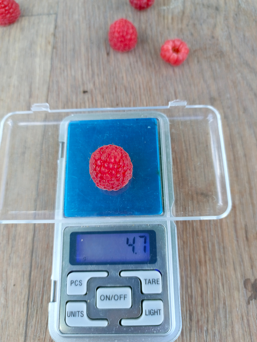 Немного поменьше.