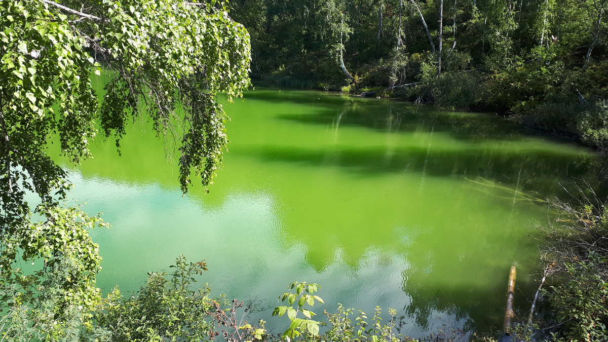 Республика Алтай