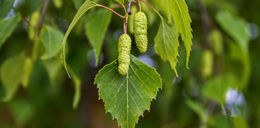 Фото из свободных источников.