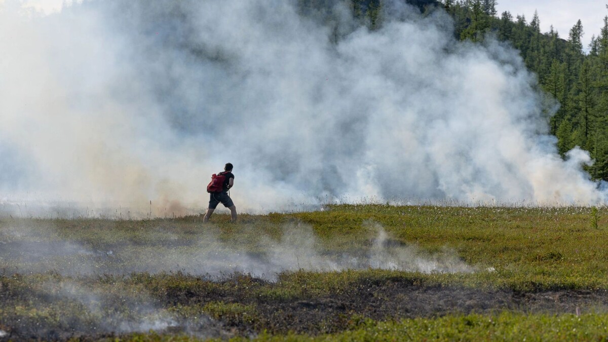    Фото: Юлия Чудинова/«Ямал-Медиа»