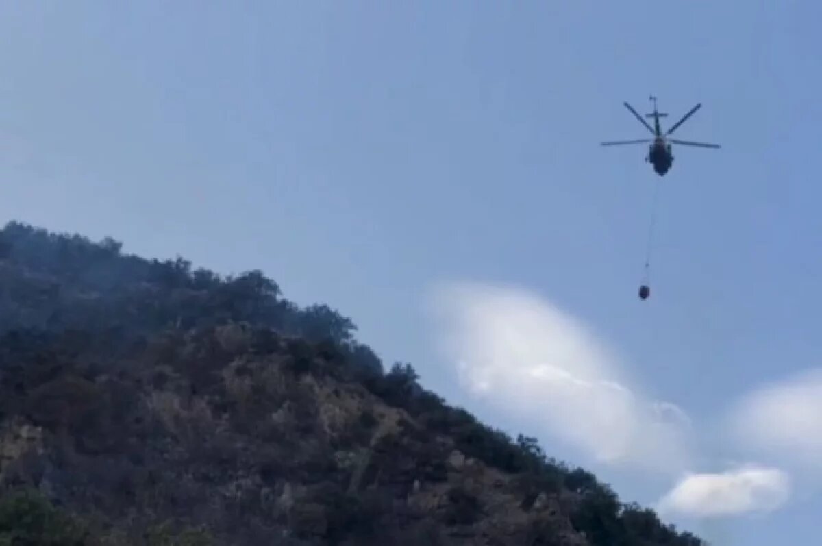    Огнеборцы локализовали пожар под Алуштой на горе Кастель