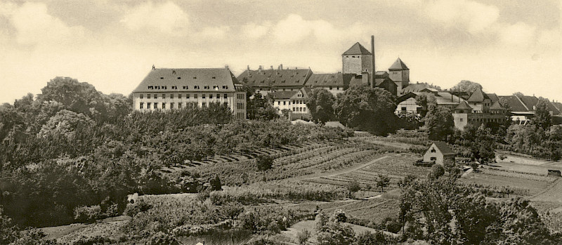 фото wir-sind-bier.de