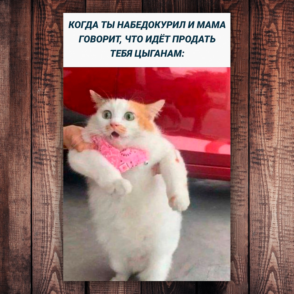 Немножко юмора =) (фото с просторов интернета)