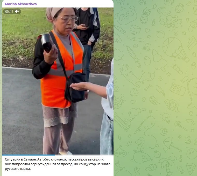    Скриншот телеграм-канала Марины Ахмедовой.