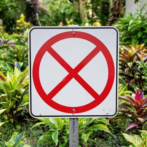   Что нельзя выращивать на даче и почему Мария Казённова