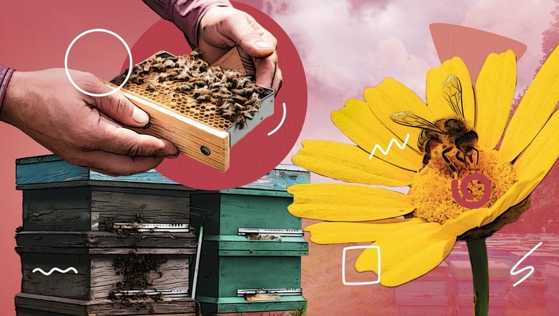      Фото: Антон Глушков / / ИА «Победа26»