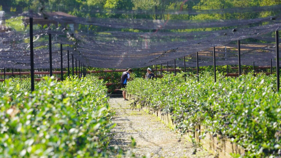 Фото: Telegram-канал Андрей Прошунин