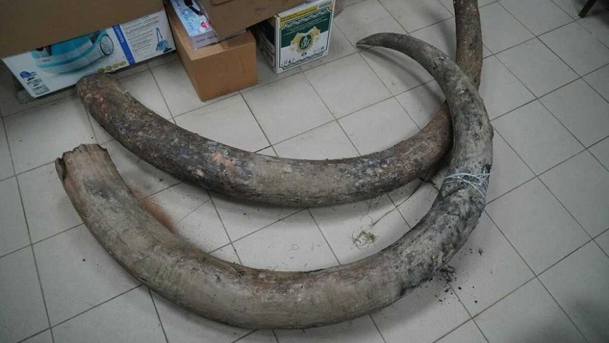    Фото: Астраханский музей-заповедник