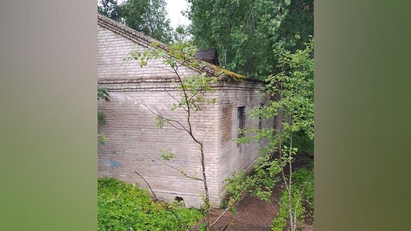    Фото: t.me/prok_lenobl