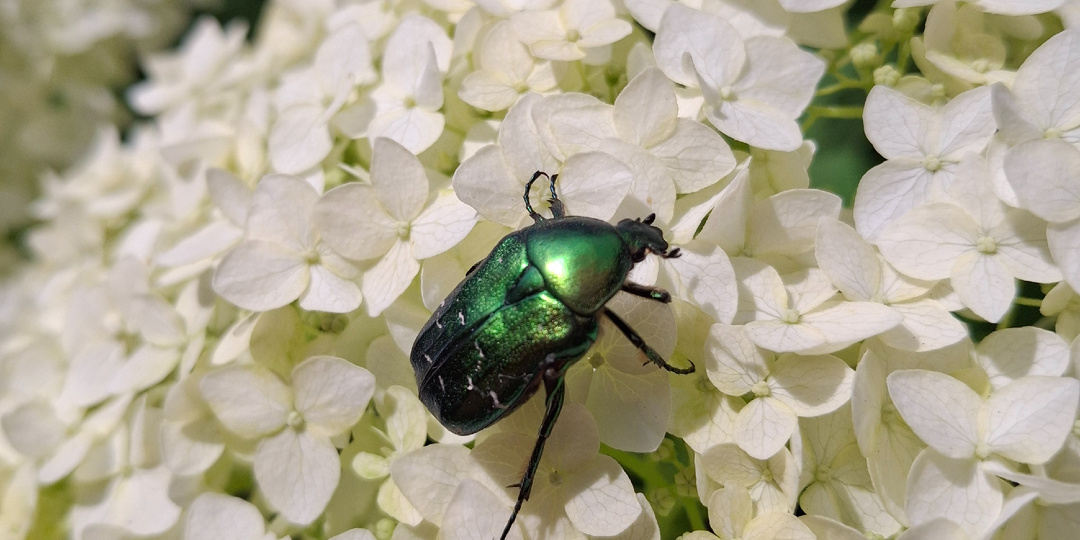 Что общего между детскими воспоминаниями и бизнесом?