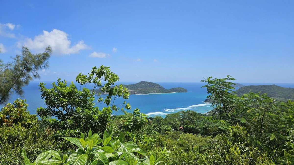 Сейшелы со смотровой площадки. Фото из личного архива