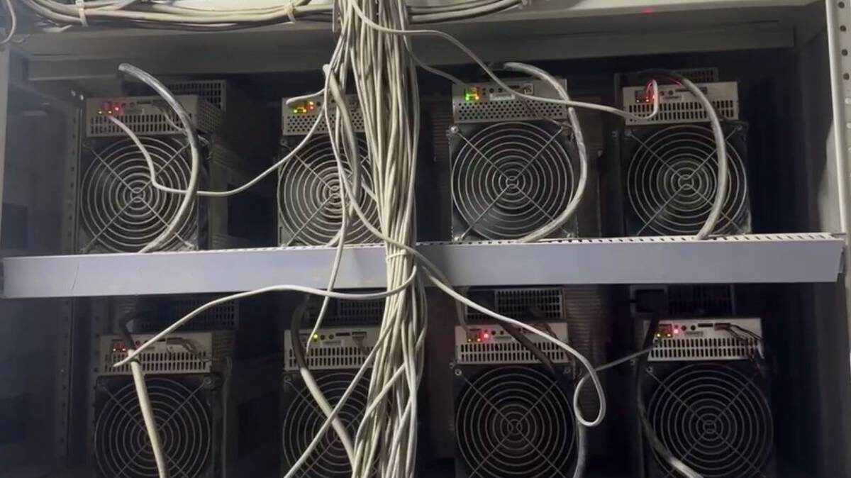    Фото: Скриншот из видео с Telegram-канала «Арсен Гаджиев»