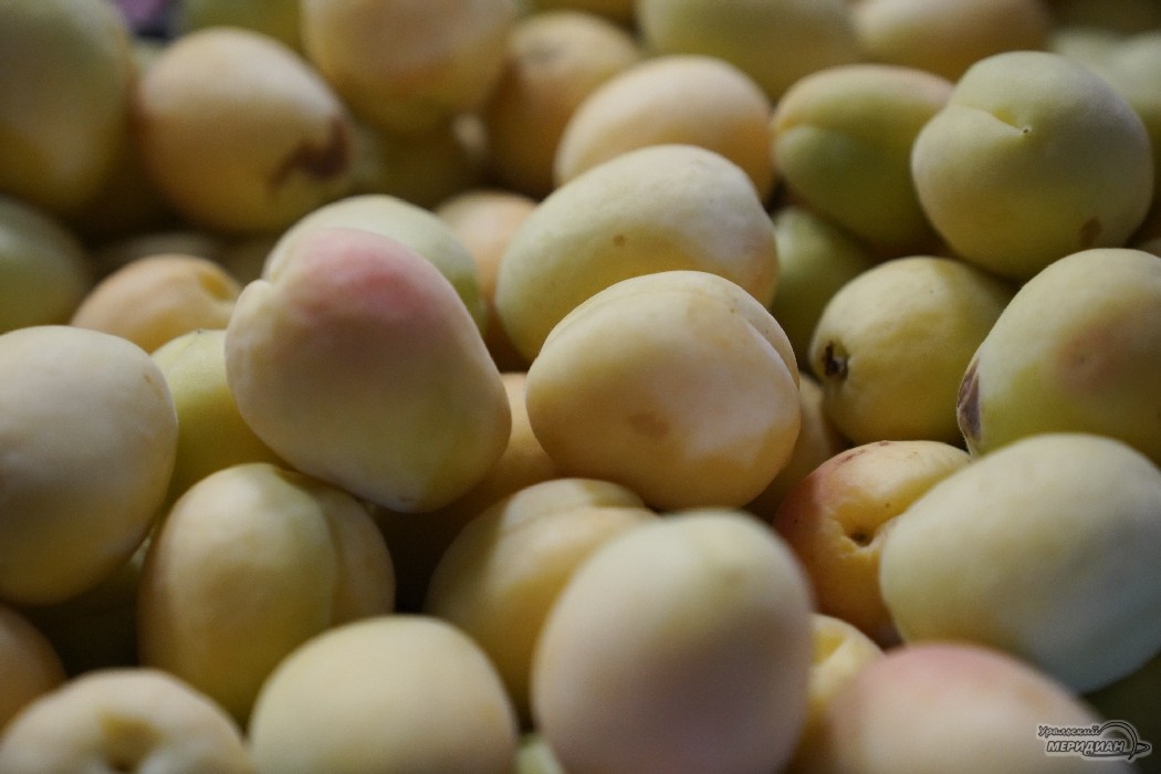    Фото: Лидия Аникина © ИА "Уральский меридиан"