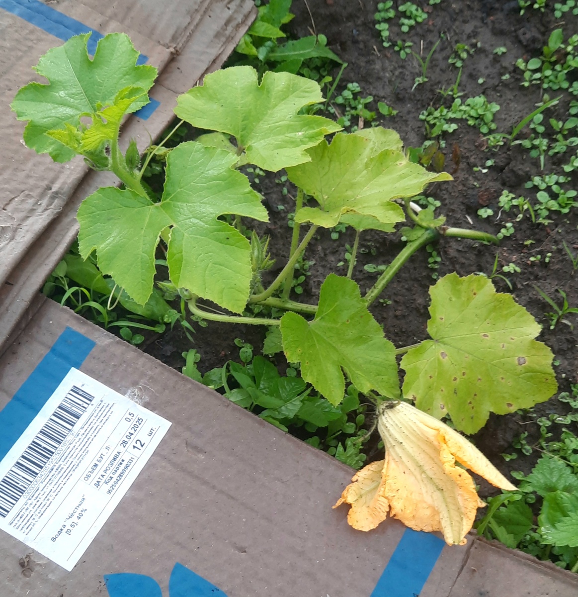 Фото автора.