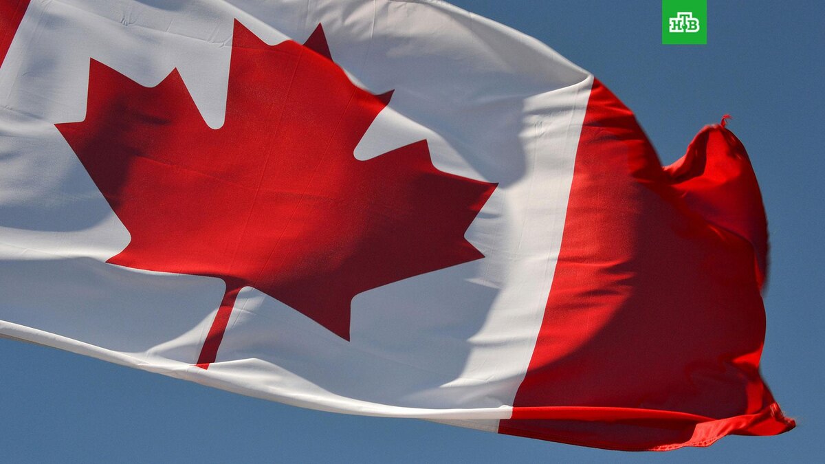    Фото: Praveen Kumar Nandagiri / unsplash.com