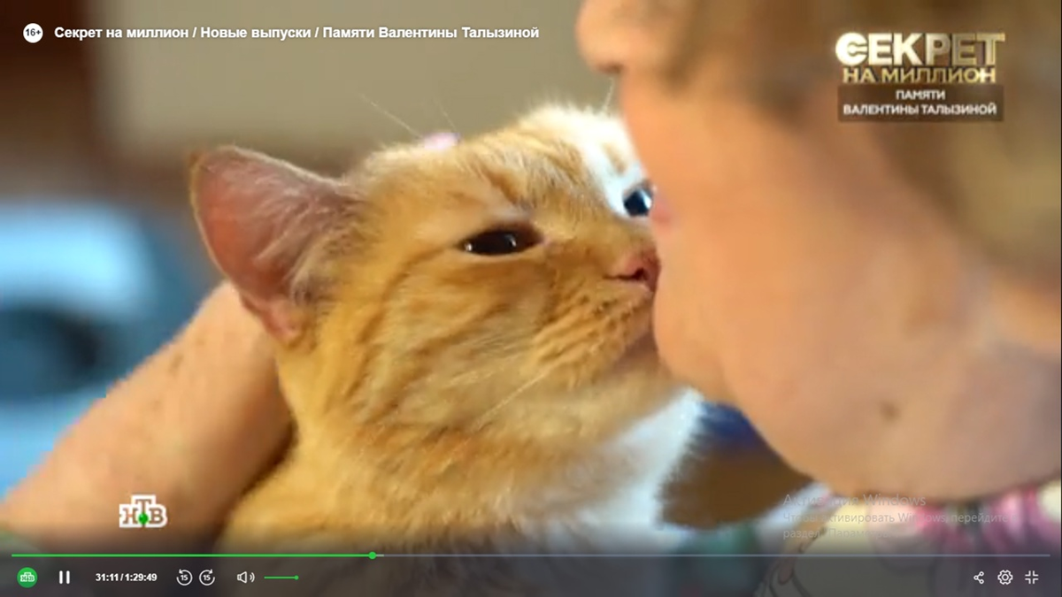 Кадр передачи. Фото автора. 