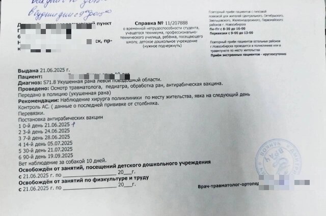    Справка с диагнозом из больницы. Фото: Предоставлено героем публикации "АиФ-Новосибирск"