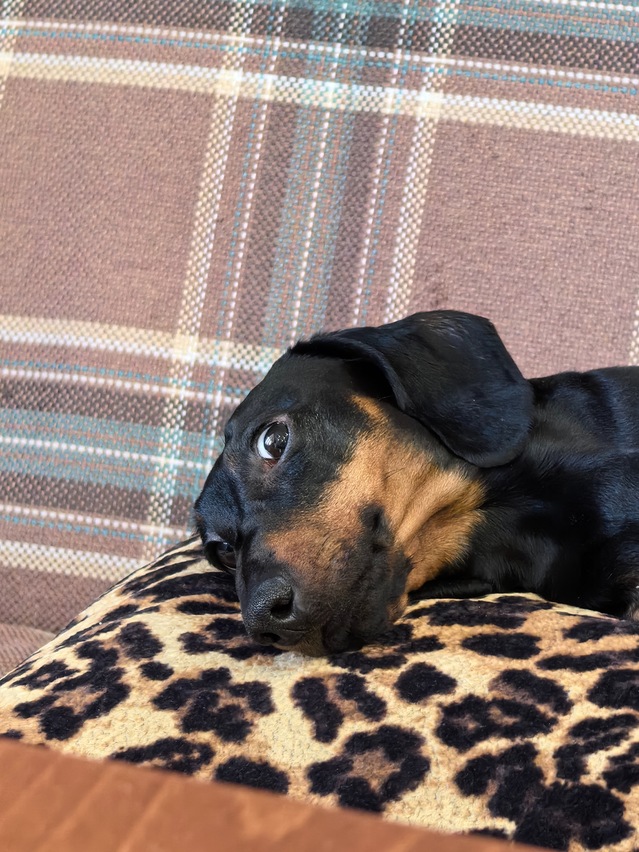 А? Чего? Что происходит-то?)))