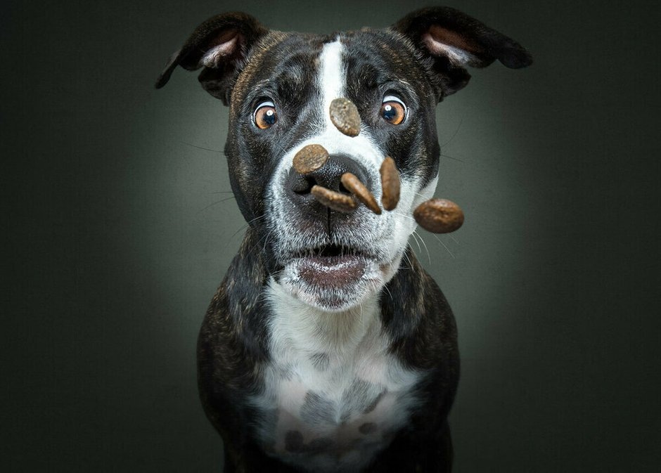  📷Фото: Кристиан Вилер 