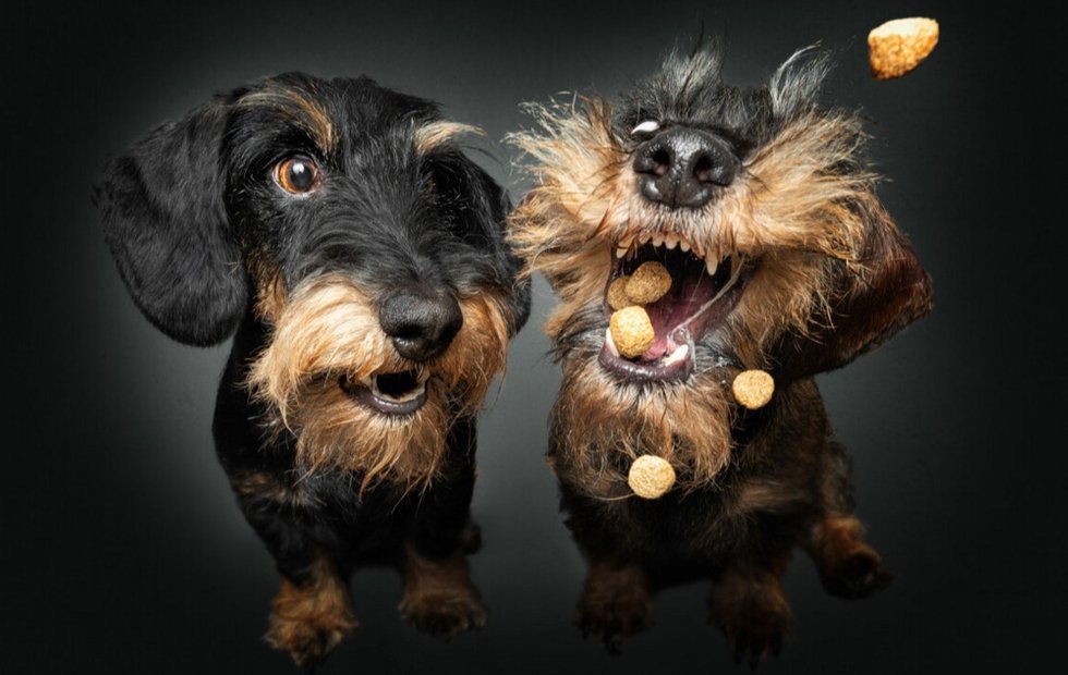 Фото: Кристиан Вилер