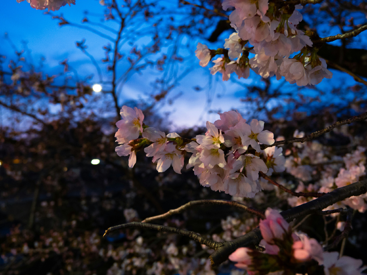 Изображение взято из открытых источников. 