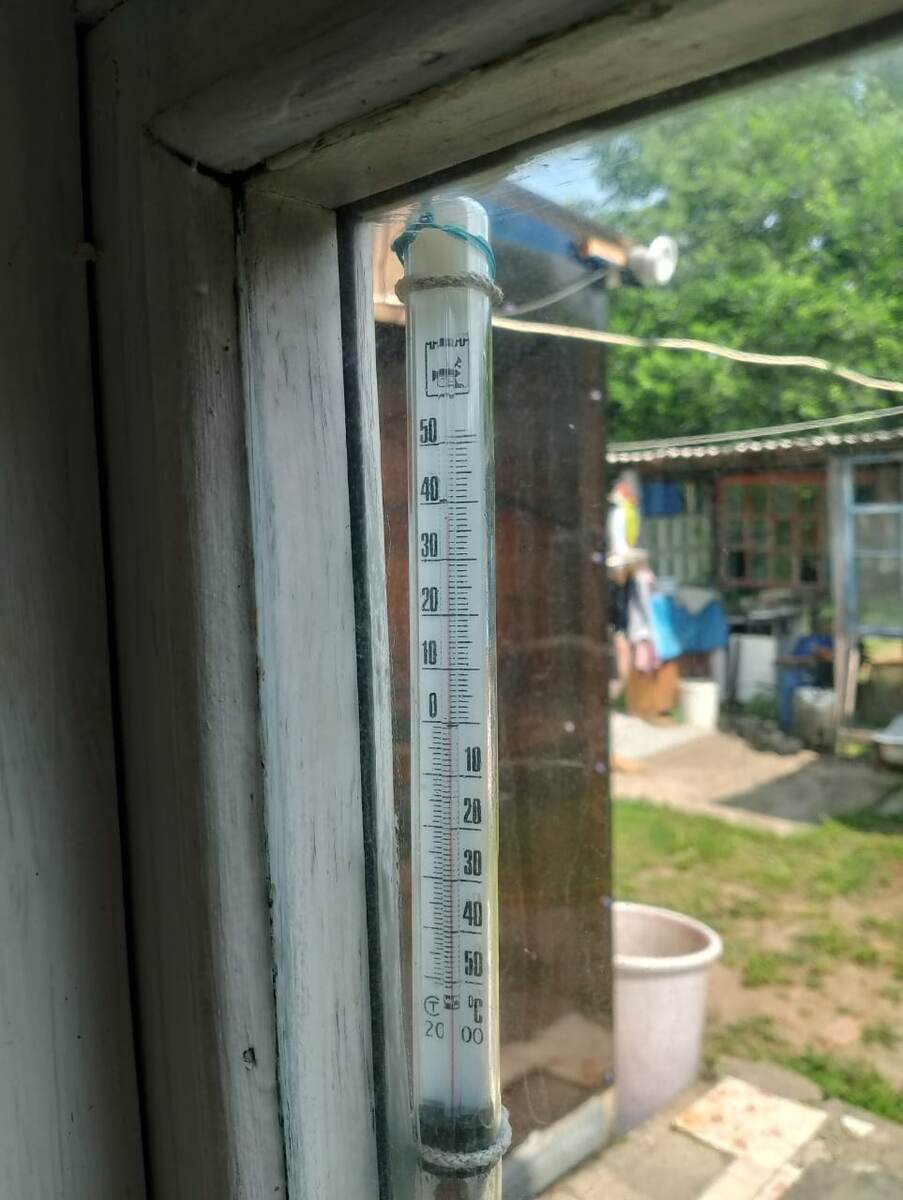 Подруга прислала. И это ещё в тени!😱