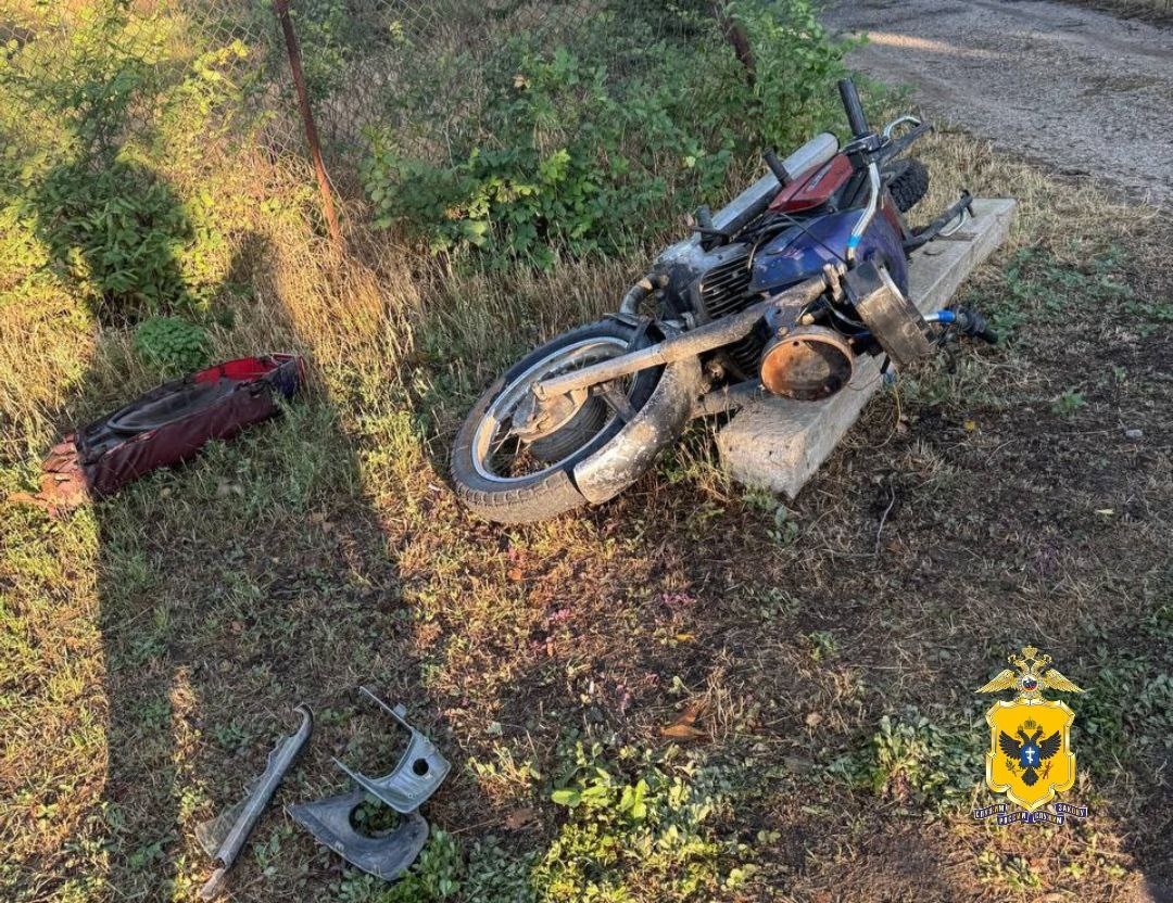   В селе Привольное Генического округа обычная летняя ночь обернулась экстренной госпитализацией