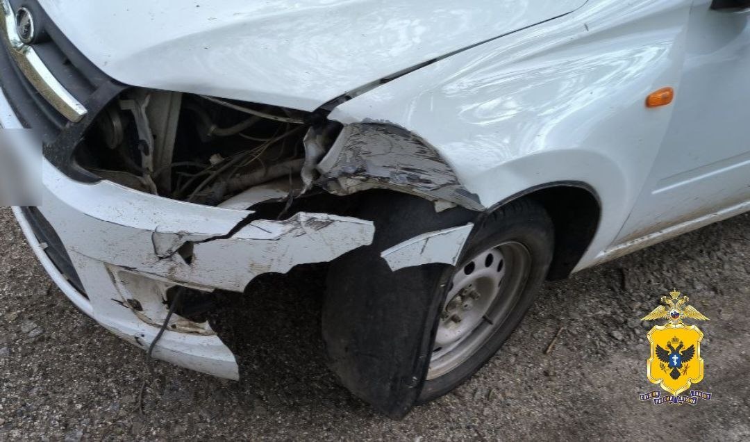    В селе Привольное Генического округа обычная летняя ночь обернулась экстренной госпитализацией