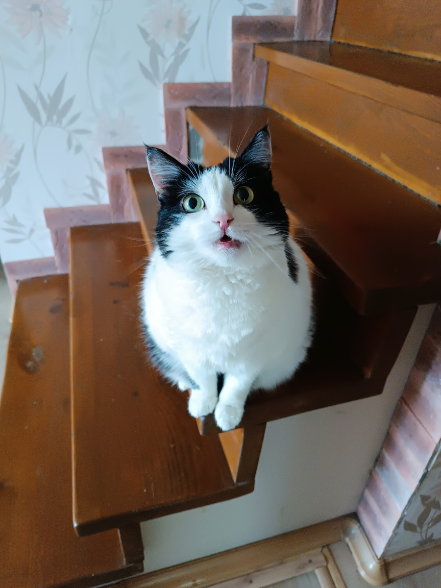 Моя Харлюшка 