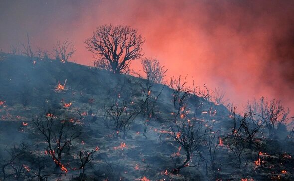 David McNew / Getty News