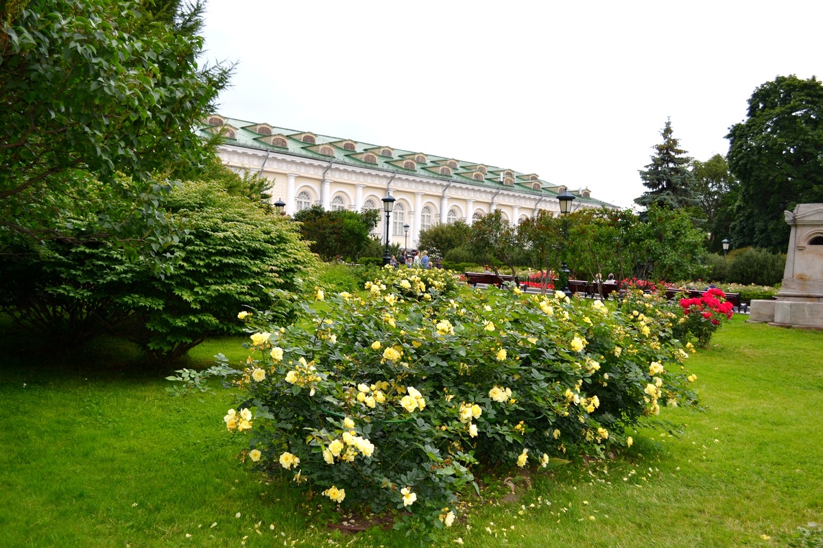 Фото автора