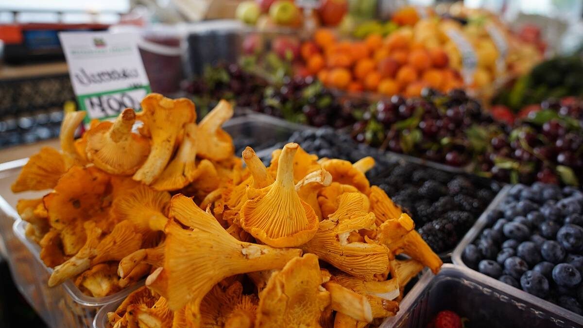    Фото: Александр Авилов / АГН Москва