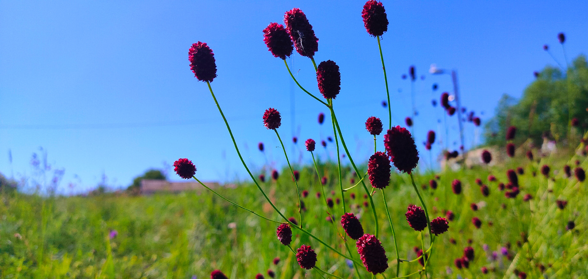 Никогда не знаешь. где найдешь, где потеряешь  Русская поговорка 
