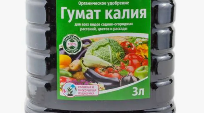 Забудьте про химию! Гумат калия — секрет идеального сада без вреда для здоровья