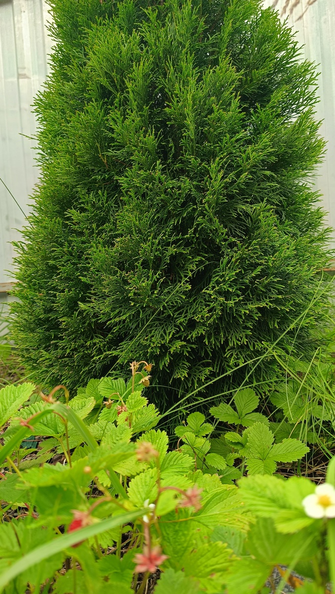 Фото из личного архива автора канала Во благо ❤️