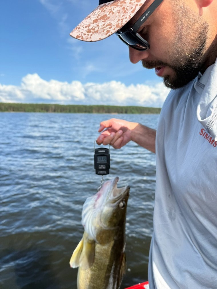 Судак весит больше 7 кг
Фото:Подслушано Пермь/ТГ