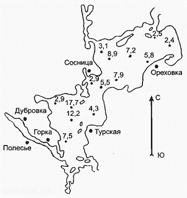 Карта глубин Сосницкого плеса Селигера
