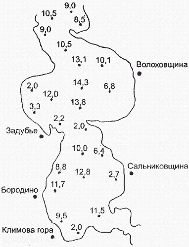 Карта глубин волховщинского плеса Селигера