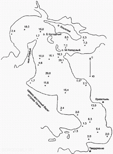 Карта глубин Кравотынского плеса Селигера
