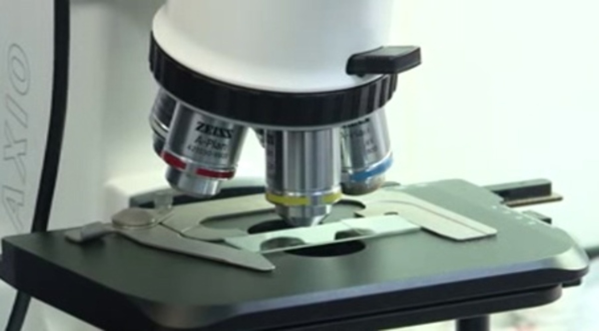    В Курской области обнаружили некачественные продукты в столовых школ, детсадов и соцучреждений