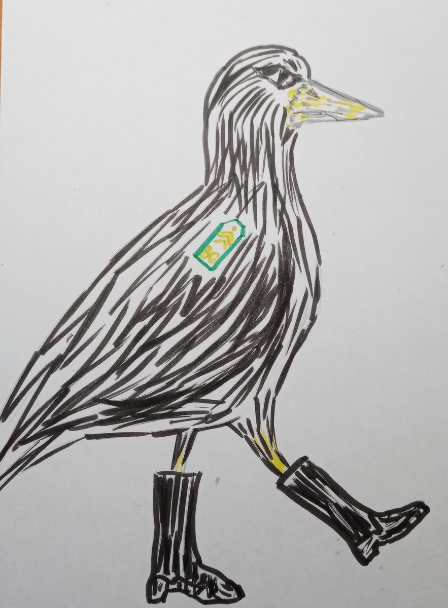 Сержант Грач. 