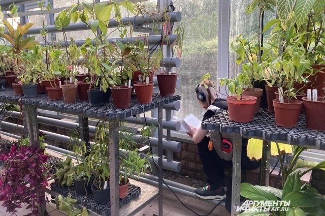    Фото: АиФ/ Вера Шуваева