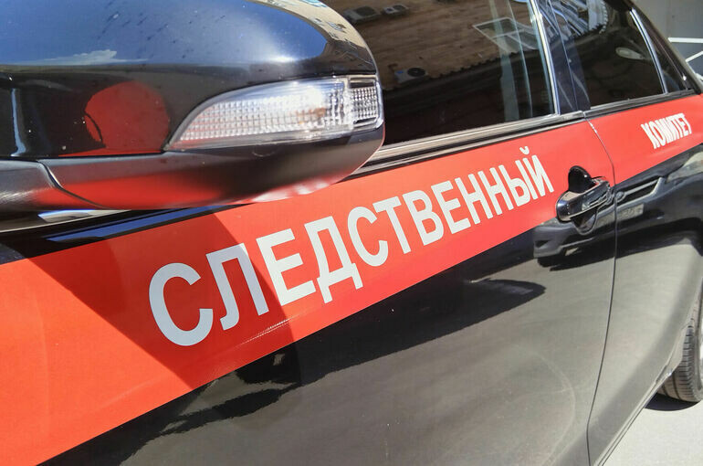   Алина Цыганова/ПГ