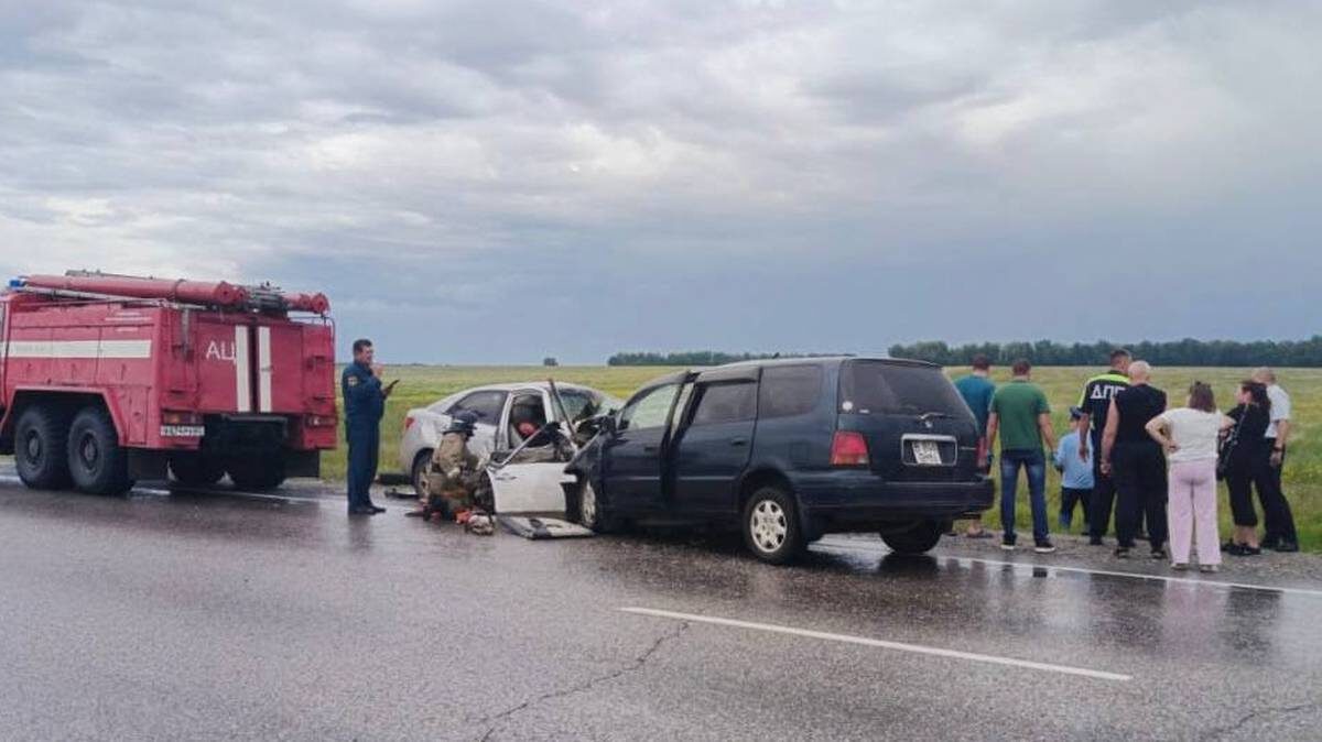    Фото: Полиция Алтайский край / Telegram