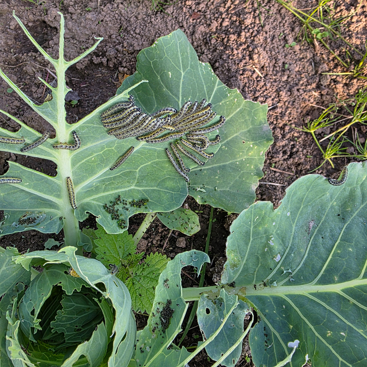 С природой не поспоришь, она сильнее